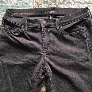 Loft Modern Sexy Boot pants 27/4
